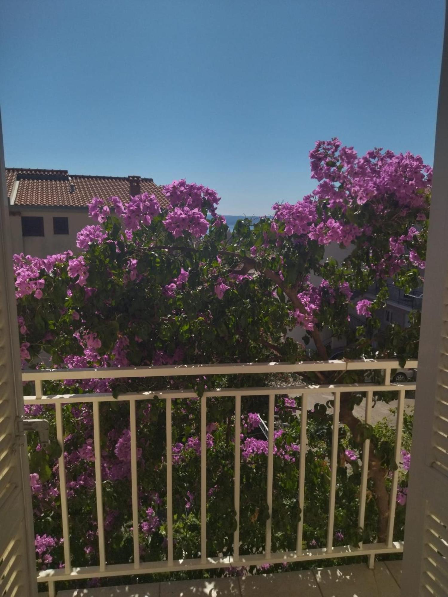 Apartmani Makarska Makarska